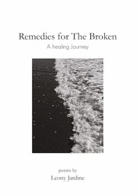Image of Remedies for the broken : a healing journey